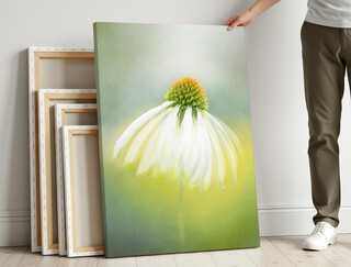 Canvas Wall Art
